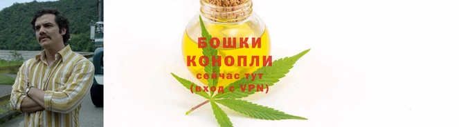 кокс Гвардейск