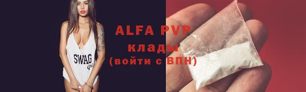 гашик Нягань